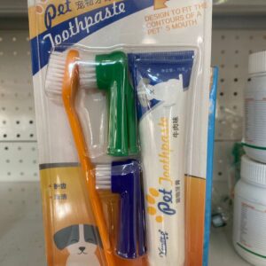 Dental care kit