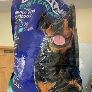 Dekra dry food (10kg)