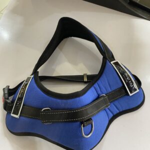 Adult dog harness